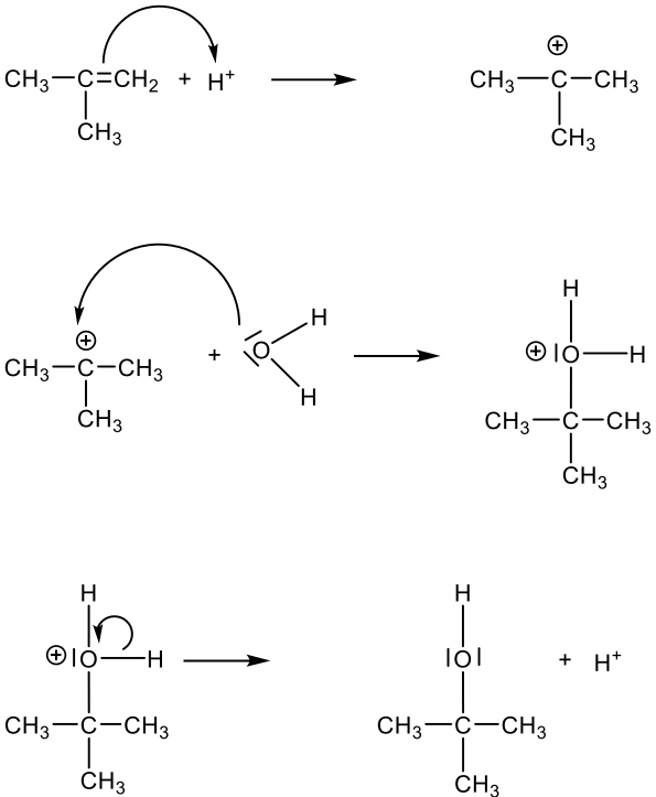 Mechanismus: Protonierung eines Alkens, Carbokation, Wasser greift an, Entprotonierung zu tert-Butanol.